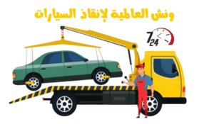 ونش بورتو السخنه